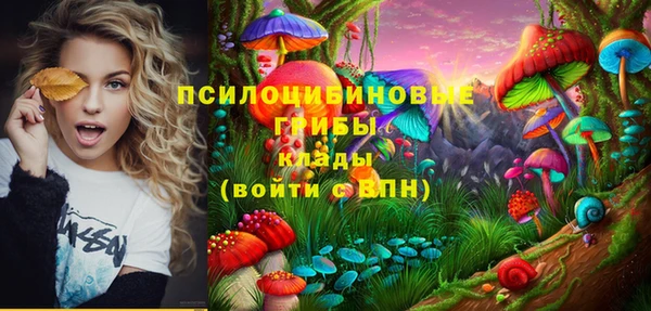 гашик Аркадак