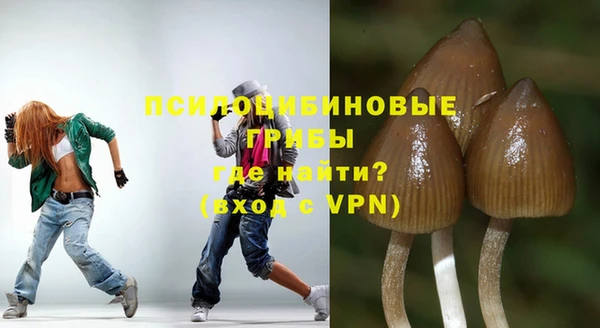 ПСИЛОЦИБИНОВЫЕ ГРИБЫ Арсеньев