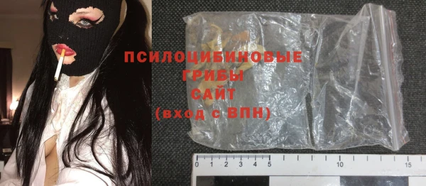 гашик Аркадак