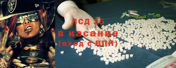 гашик Аркадак