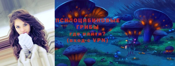 ПСИЛОЦИБИНОВЫЕ ГРИБЫ Арсеньев