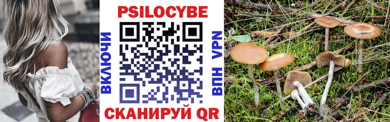 Галлюциногенные грибы Psilocybe  Купить  Бавлы 